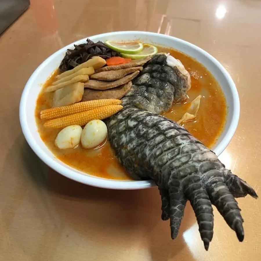 গডজ়িল্লা র‌্যামেন: চিনের তাইওয়ান প্রদেশে এই খাবারটি বেশ জনপ্রিয় হয়েছে শেষ কয়েক ব‌ছরে। র‌্যামেনের সঙ্গে ৪০টিরও বেশি মশলাপাতি, কোয়েল পাখির ডিম, বেবি কর্ন, শূকরের মাংস এবং বাঁশের কোঁড় (ব্যাম্বু শুট) মিশিয়ে এই পদটি তৈরি করা হয়।