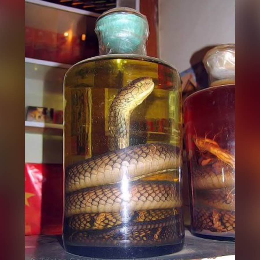 সাপের হৃদ্‌যন্ত্র: সাপের হৃৎপিণ্ড সাধারণত রান্না করা হয় না, বরং এটি কাঁচা ও স্পন্দমান অবস্থায় খাওয়া হয়। ভাবছেন তো কোথায় এমন খাবার মেলে। ভিয়েতনামের বিভিন্ন আঞ্চলিক বাজারগুলিতে এই খাবারটি পাওয়া যেতে পারে।