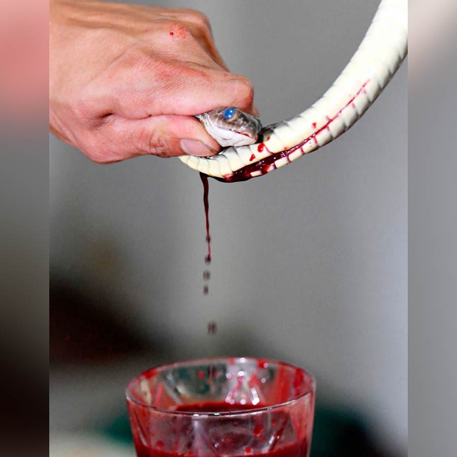 সাধারণত রাইস ওয়াইনে ডুবিয়ে সাপের হৃৎপিন্ড খাওয়ার চল আছে। হৃদপিণ্ডটি সতর্কতার সঙ্গে বার করে নেওয়া হয় এবং সেটিকে সরাসরি একটি খালি ‘শট গ্লাস’-এ রাখা হয় অথবা স্থানীয় চালের তৈরি মদ কিংবা ভিয়েতনামি ভদকা ভর্তি ছোট একটি পাত্রে ফেলা হয়।