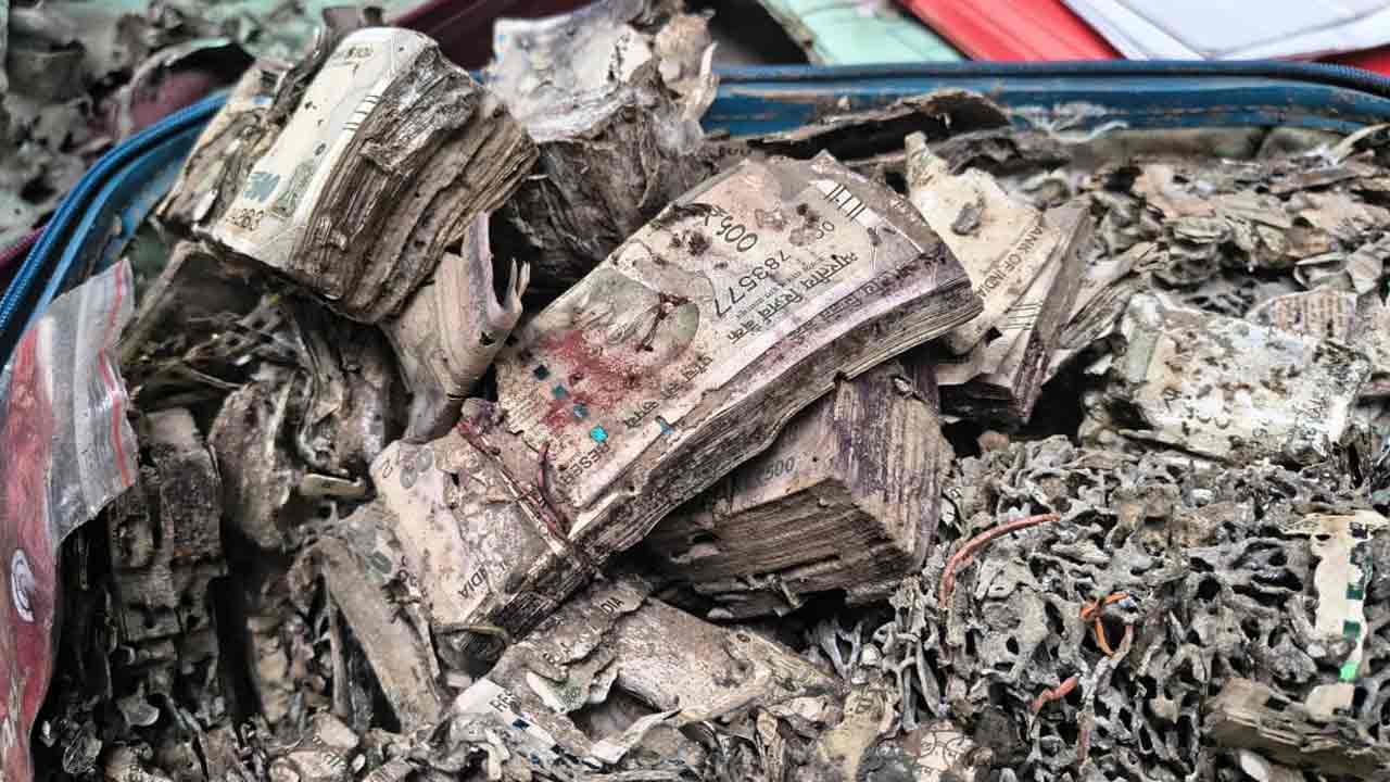 সুরেন্দ্রনাথ কলেজের ইউনিয়ন রুম থেকে উদ্ধার হওয়া উই ধরা টাকা।