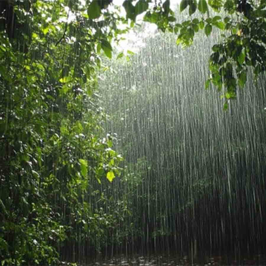 Heavy rain forecast in North Bengal dgtld