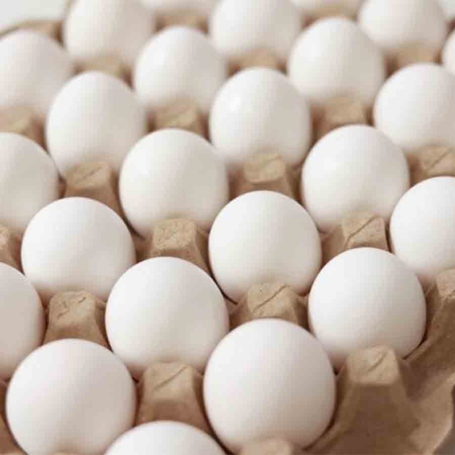 Eggs are becoming relevant in politics