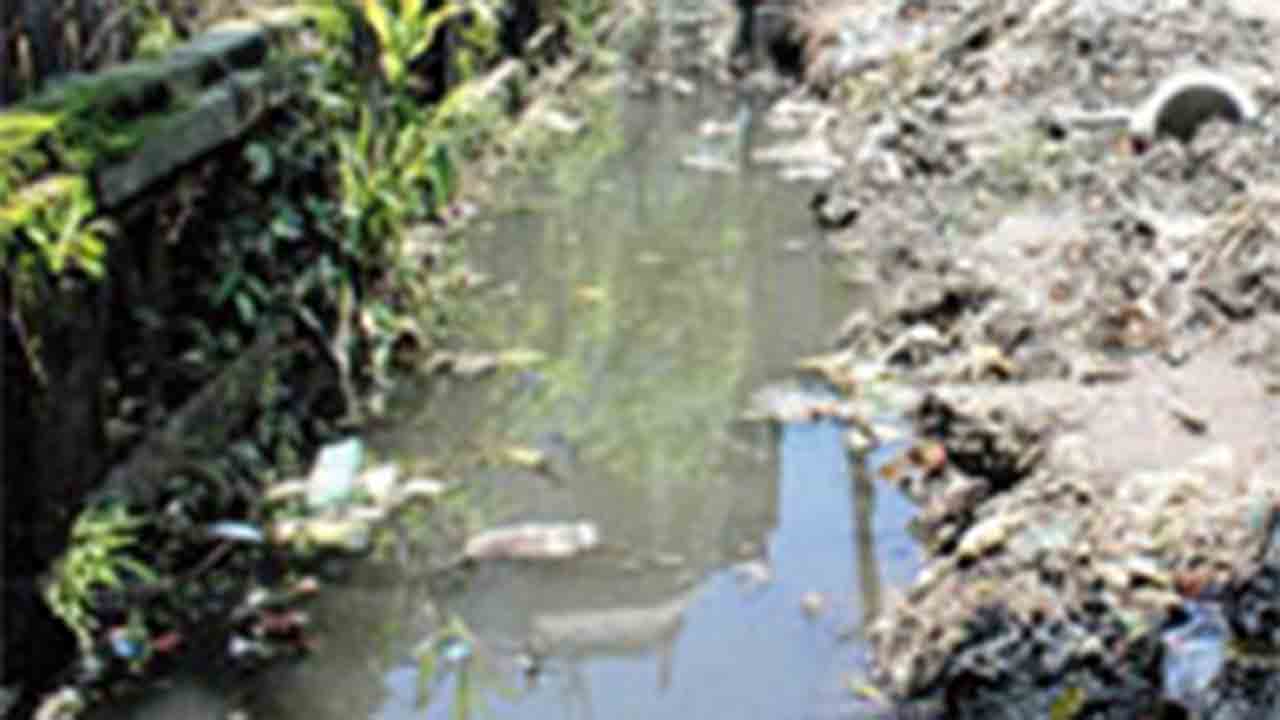 —প্রতিনিধিত্বমূলক ছবি।