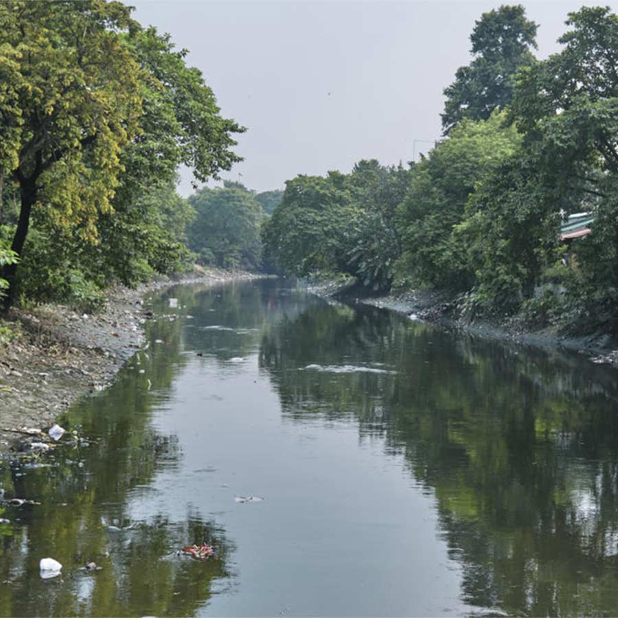 ক্ষীয়মাণ: দু’পাশের আবর্জনা ক্রমশ গ্রাস করে নিয়েছে আদিগঙ্গার প্রাচীন ধারা।