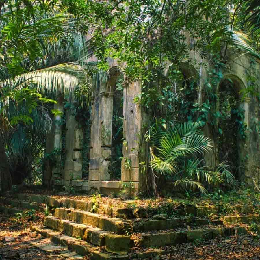 Hidden and untouched Maya city found in Mexican jungle after more than 1,000 years