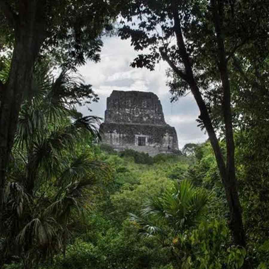 Hidden and untouched Maya city found in Mexican jungle after more than 1,000 years