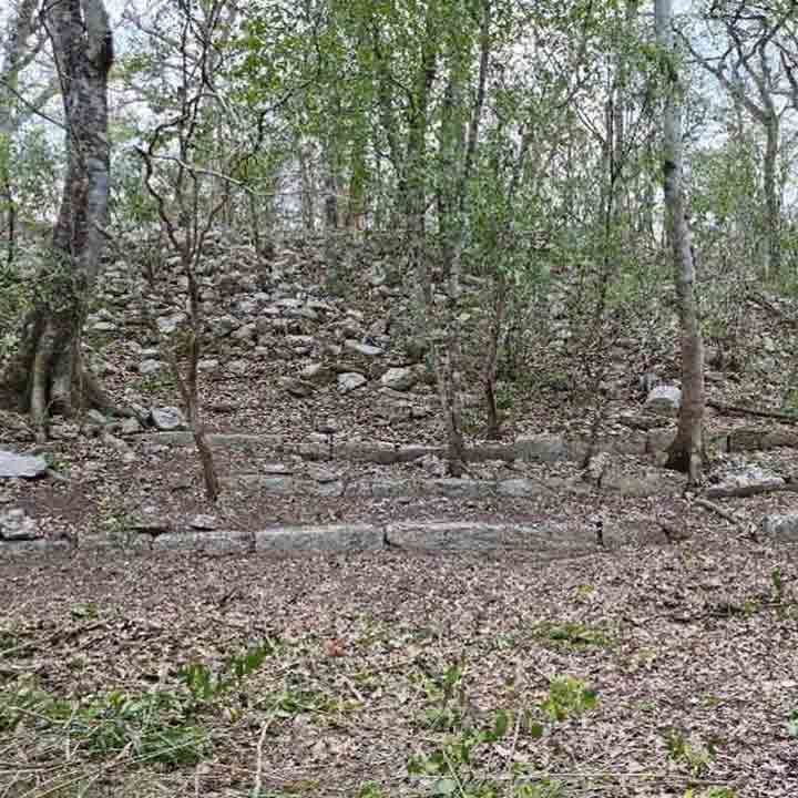 Hidden and untouched Maya city found in Mexican jungle after more than 1,000 years