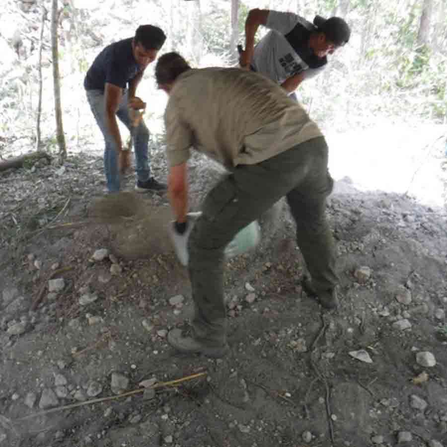 Hidden and untouched Maya city found in Mexican jungle after more than 1,000 years