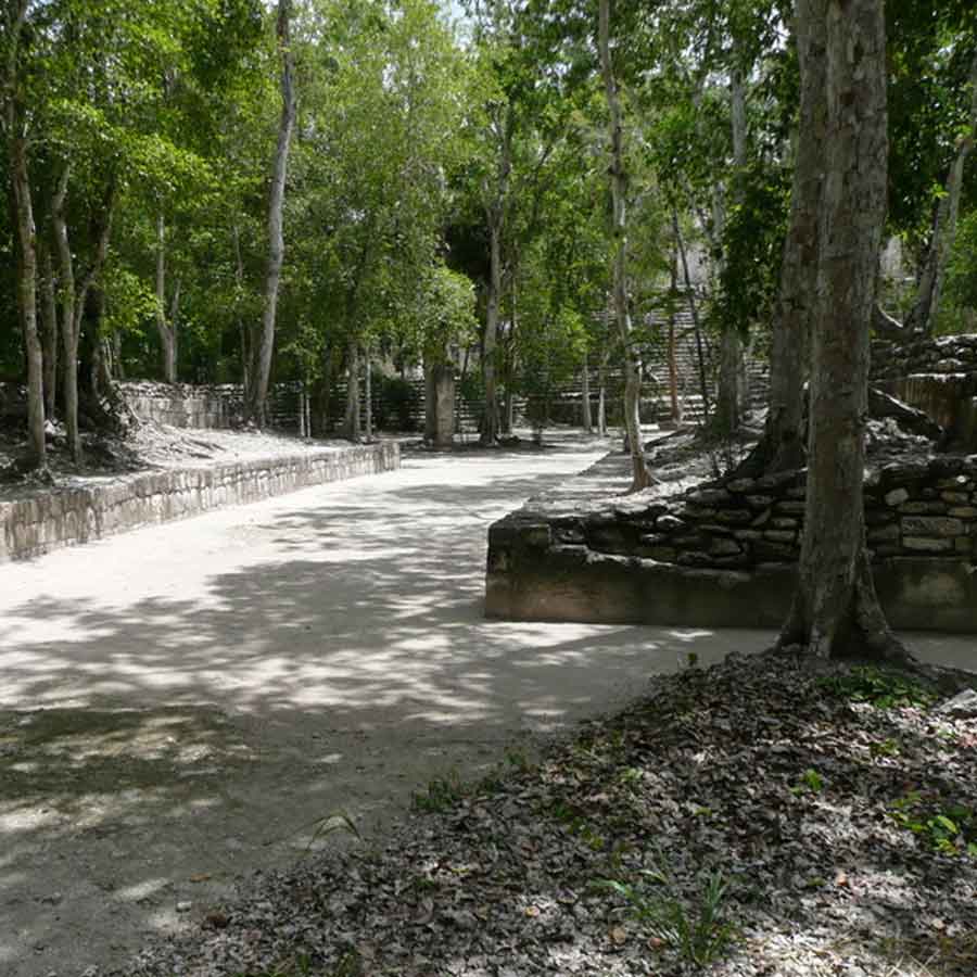 Hidden and untouched Maya city found in Mexican jungle after more than 1,000 years