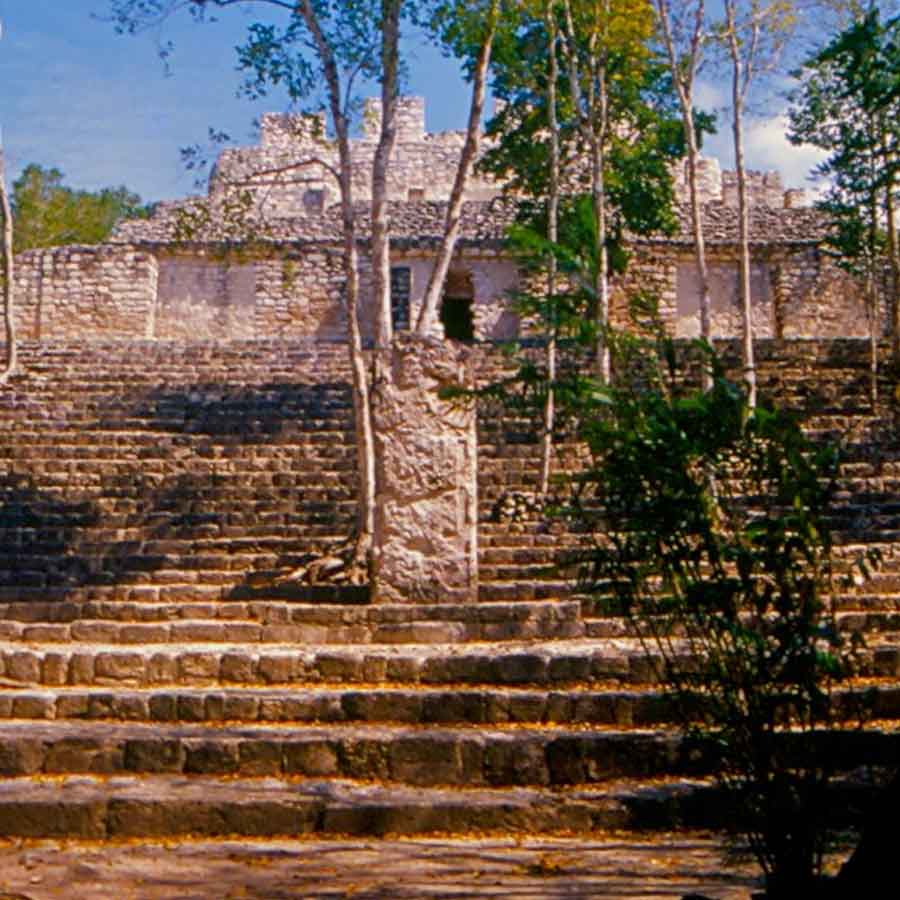 Hidden and untouched Maya city found in Mexican jungle after more than 1,000 years