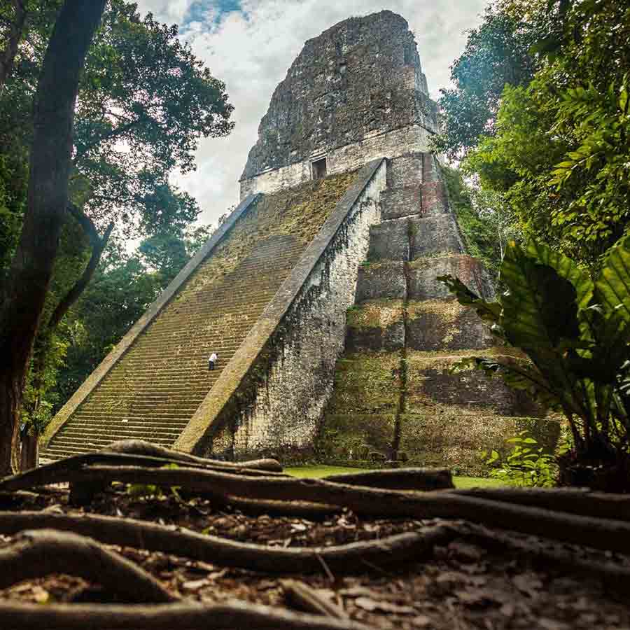 Hidden and untouched Maya city found in Mexican jungle after more than 1,000 years