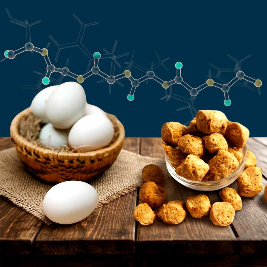 Experts Compare Nutrition After BJP Government Replaces Eggs in Mid-Day Meals dgtl
