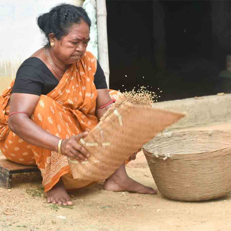 চালকলের ফেলে দেওয়া ধান সংগ্রহ করে পরিষ্কার করছেন পস্তুবালা দেবী।