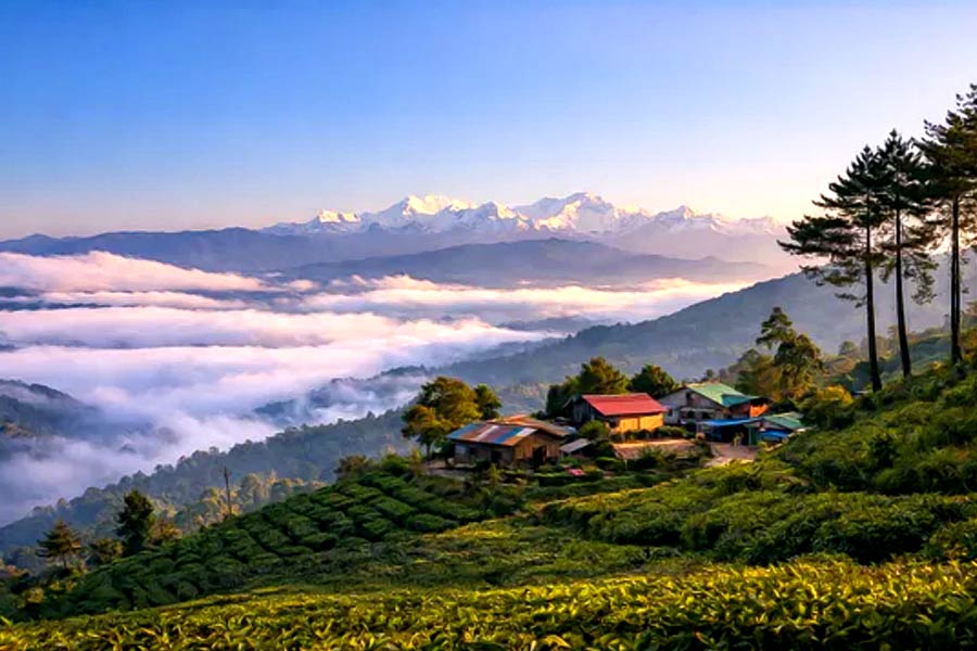 সবুজ উপত্যকায় ঘেরা পাবং