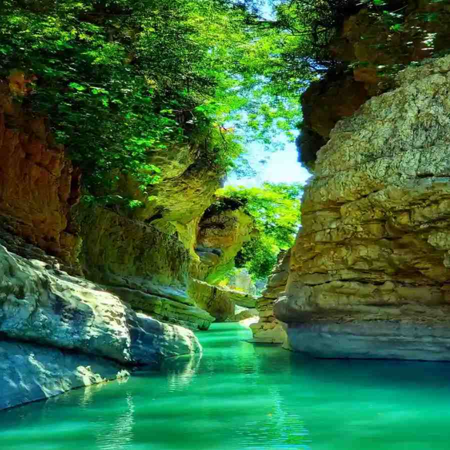 Beyond Darjeeling, these Five Hidden Gems of North Bengal You Must Visit