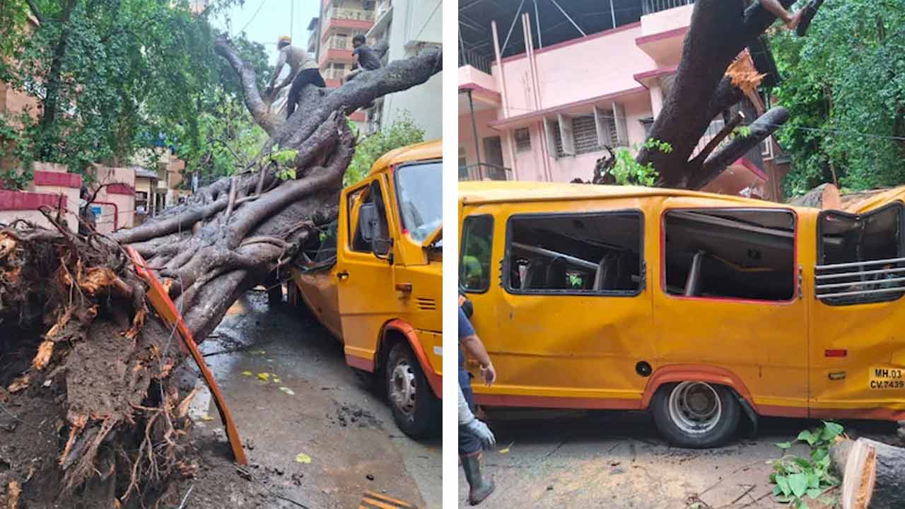 Tree falls on school bus in Mumbai