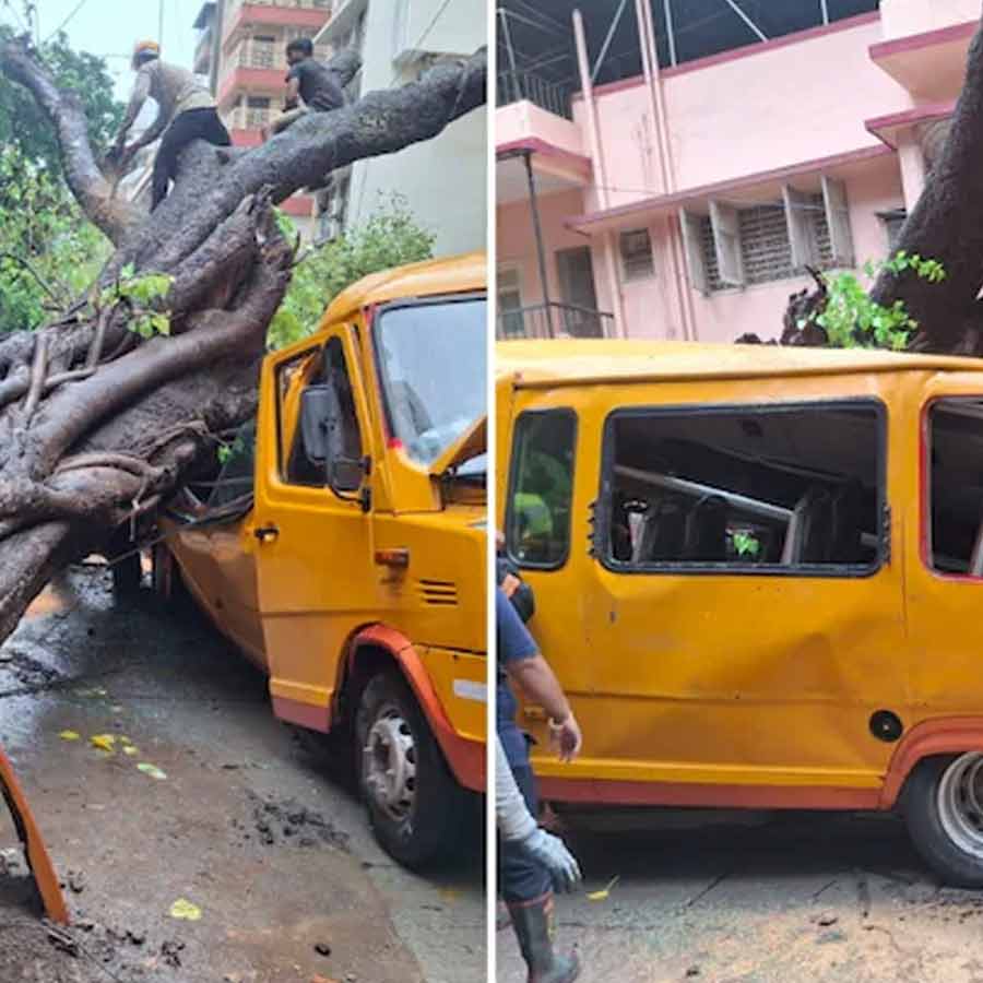 Tree falls on school bus in Mumbai