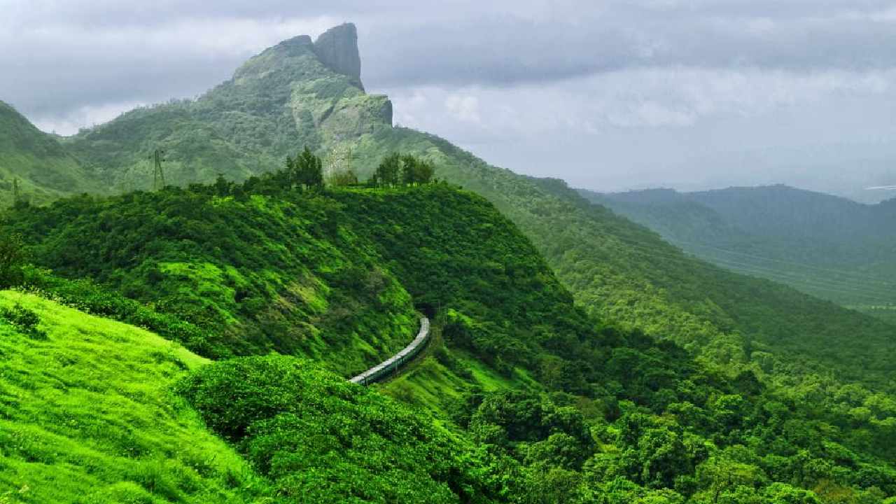 সবুজের পরশ মন ভুলিয়ে দেবে।