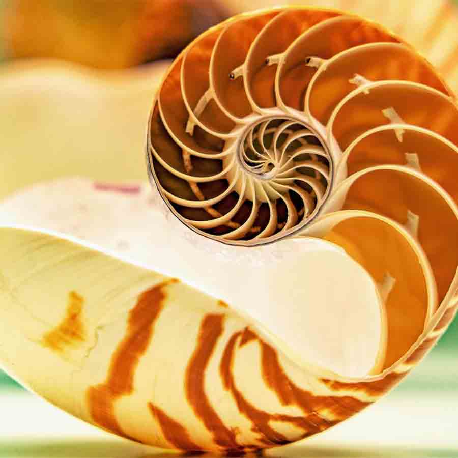 Nature's signs based on numbers