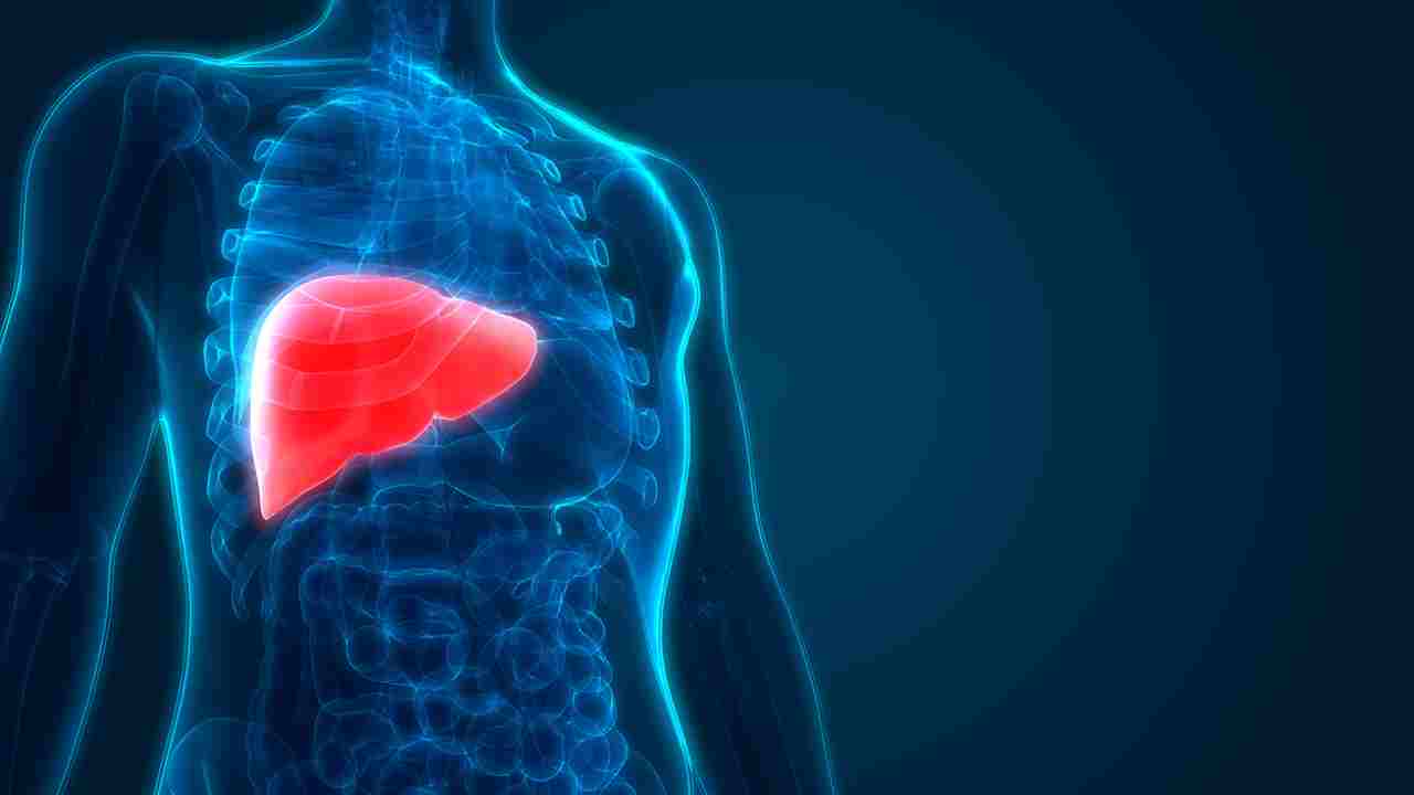 লিভারের রোগের কী কী উপসর্গ দেখা দিলে সতর্ক হবেন?