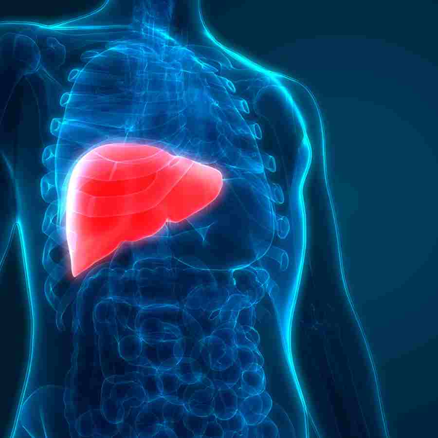 লিভারের রোগের কী কী উপসর্গ দেখা দিলে সতর্ক হবেন?