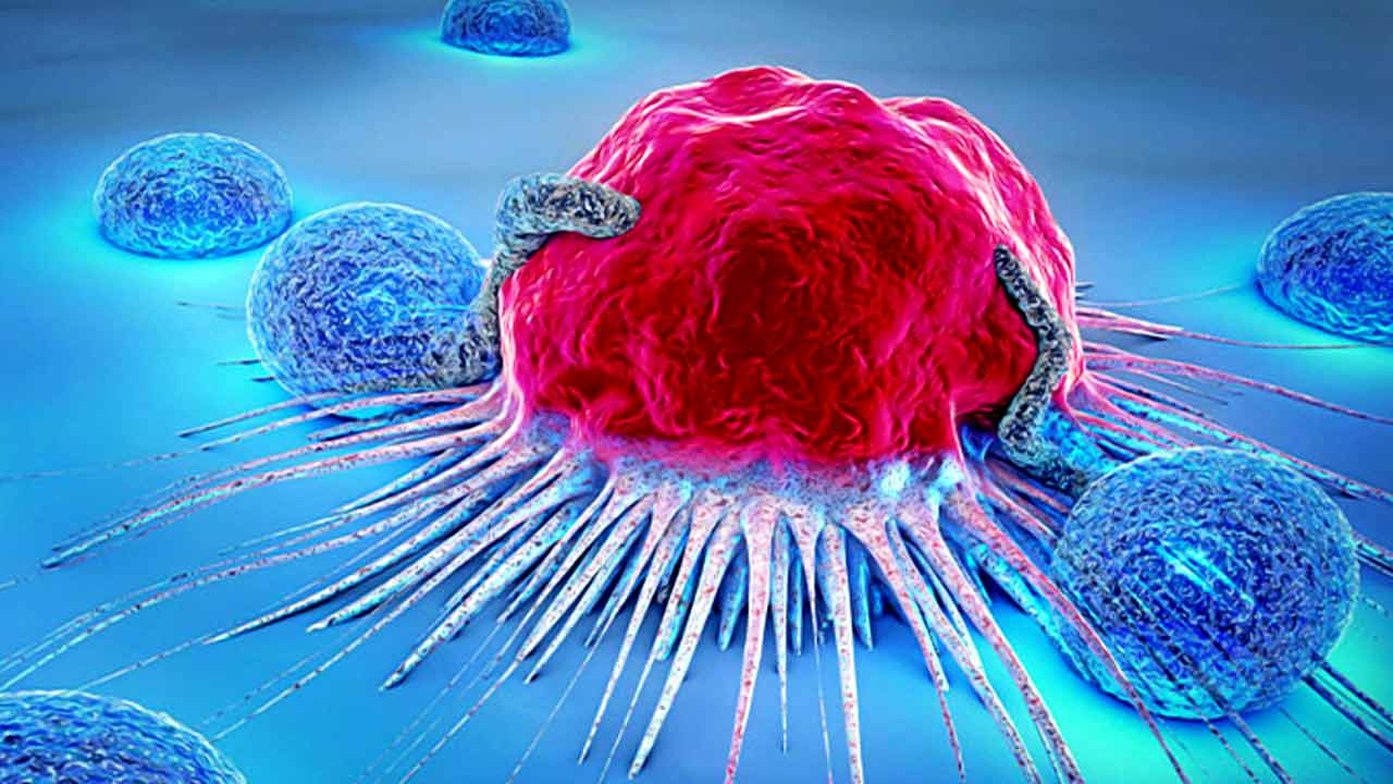 Researchers develop engineered bacteria that can attack tumours from the inside out to fight Cancer