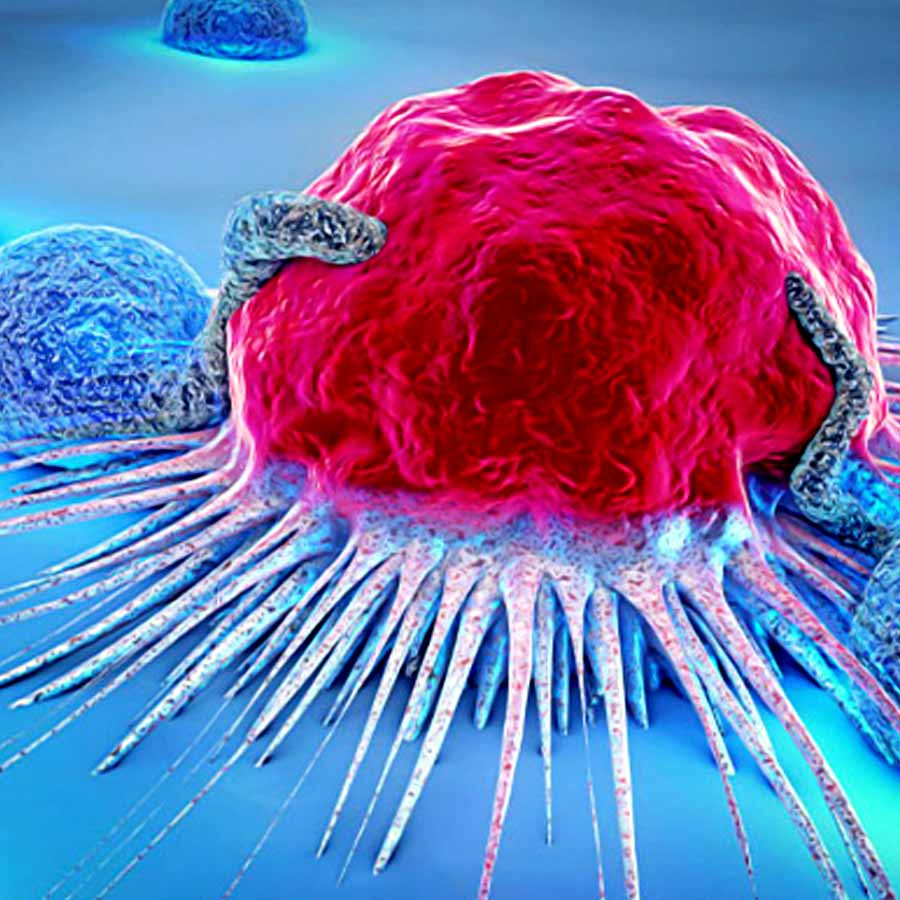 Researchers develop engineered bacteria that can attack tumours from the inside out to fight Cancer