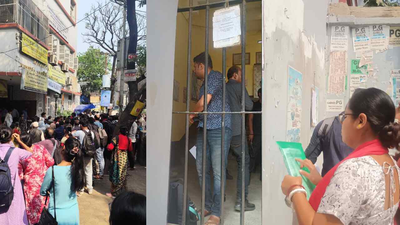 নিজস্ব চিত্র।