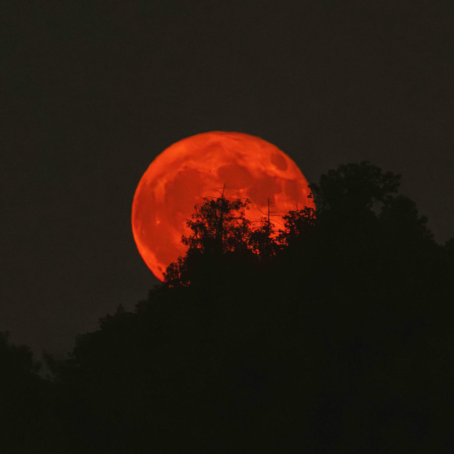 মঙ্গলবার সন্ধ্যায় কলকাতার আকাশ থেকে দেখা যাবে লাল চাঁদ।