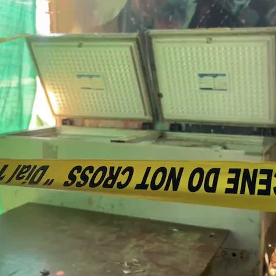 এই ফ্রিজারের ভিতর থেকেই উদ্ধার হয় দেহ। ছবি: সংগৃহীত।