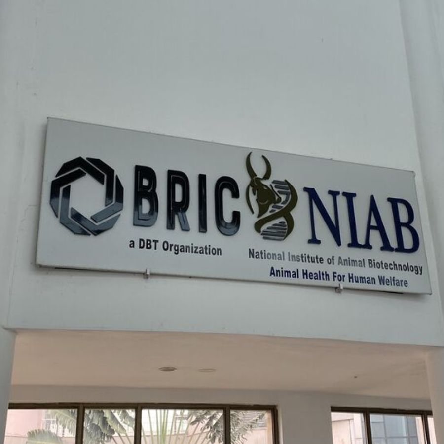 Career options for Post Graduates in National Institute of Animal Biotechnology Dgtl