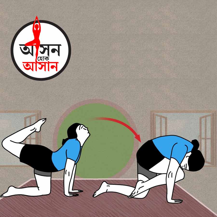 What are the health benefits of Vyaghrasana, or Tiger Pose