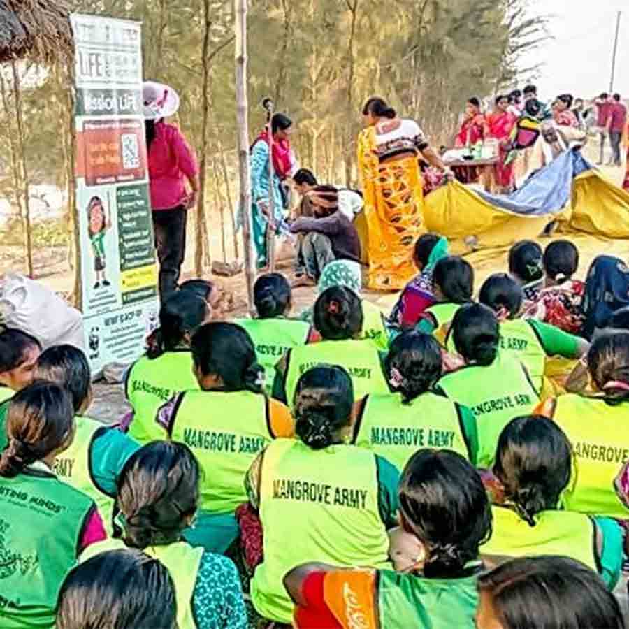 বনবিবির পুজোকে ঘিরে একত্রিত গ্রামের মহিলারা।