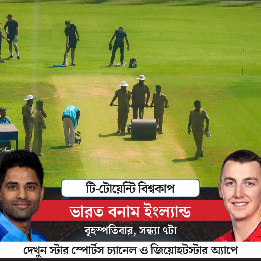 Pitch of Wankhede Stadium