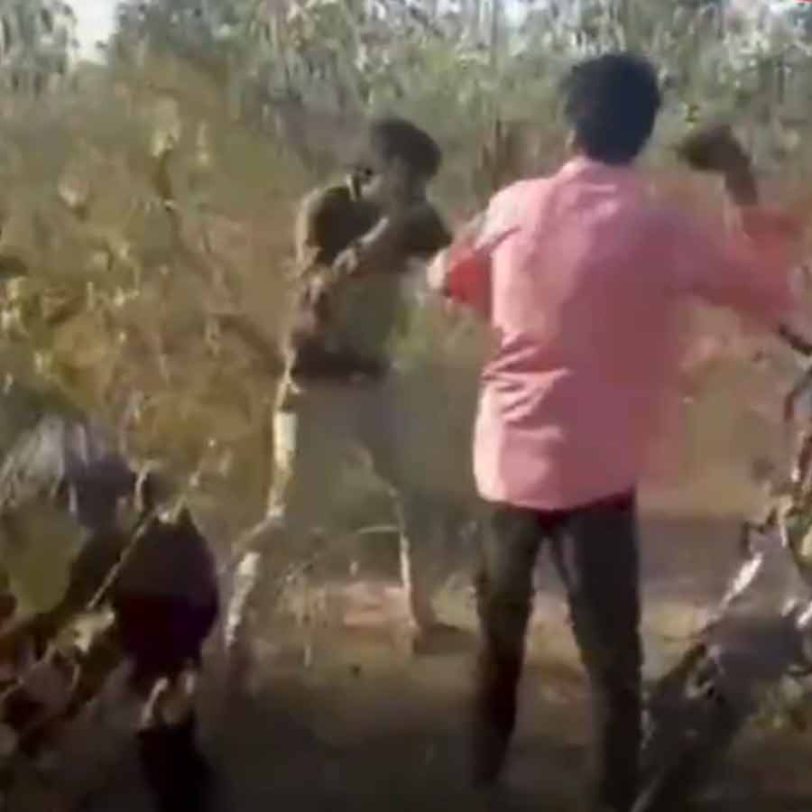 বনসুরক্ষাকর্মীকে মারধরের সেই দৃশ্য। ছবি: সংগৃহীত।