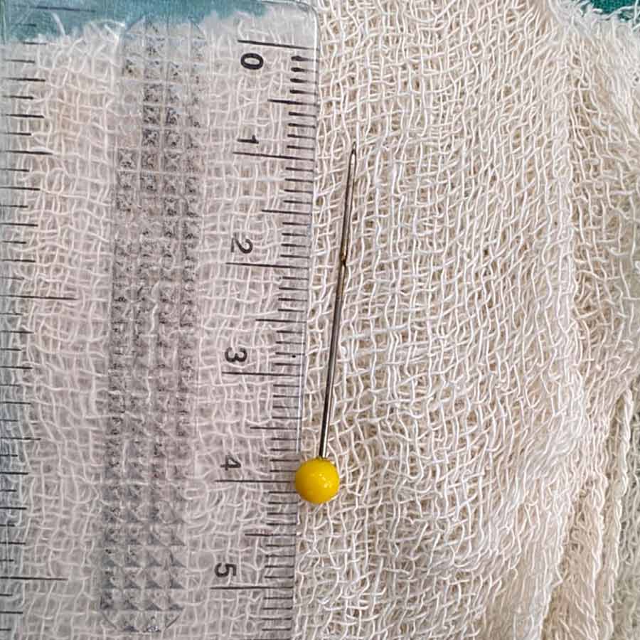 কিশোরীর শ্বাসনালীতে আটকে থাকা সেই পিন। নিজস্ব চিত্র।