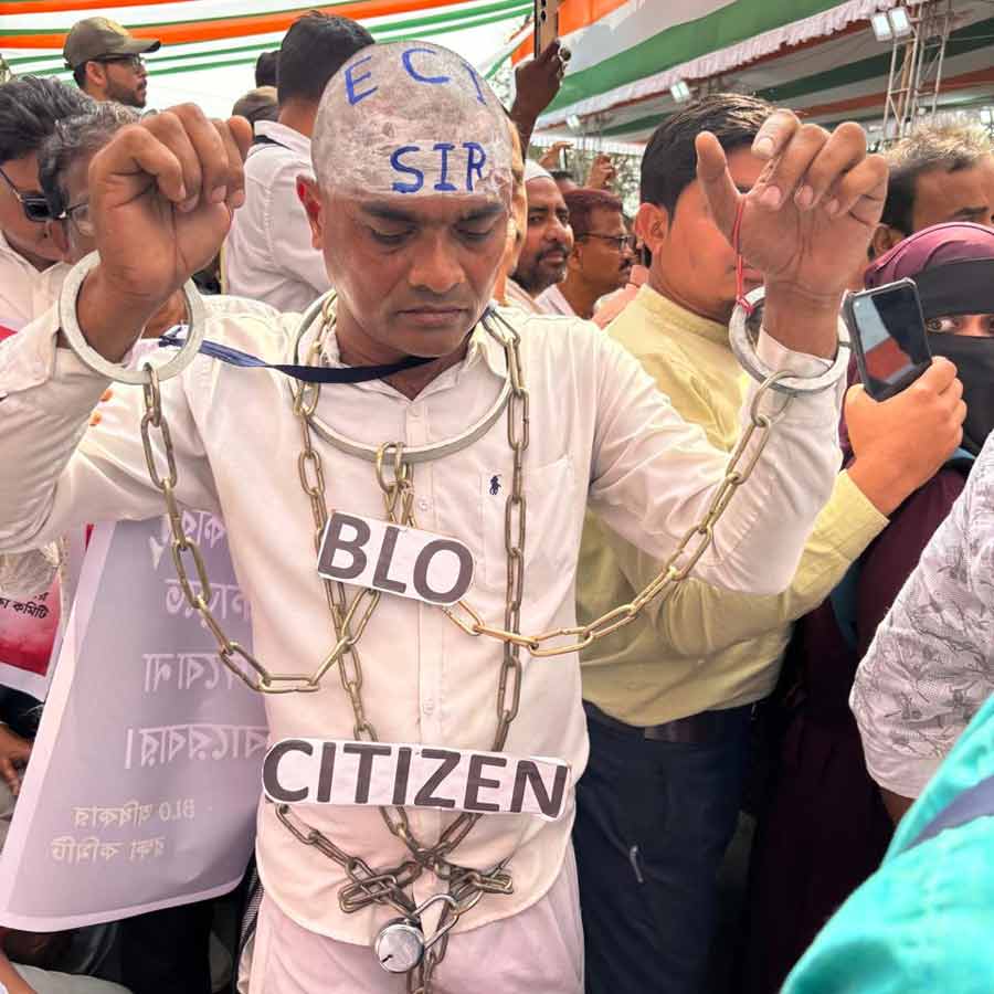 মমতার ধর্নামঞ্চে এসআইআর বিরোধিতায় এক প্রতিবাদী। শুক্রবার।