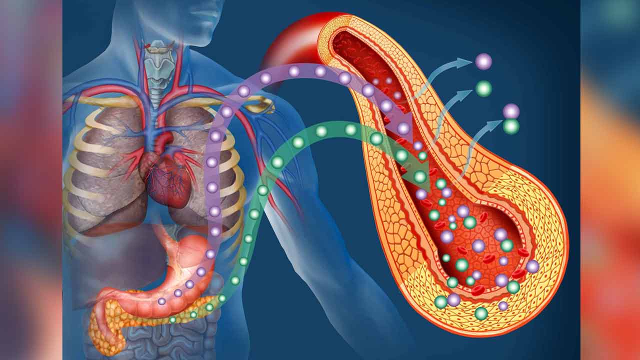 ইনসুলিন রেজ়িস্ট্যান্স  রয়েছে আপনার শরীরেও? কোন বিপদ হতে পারে এতে?