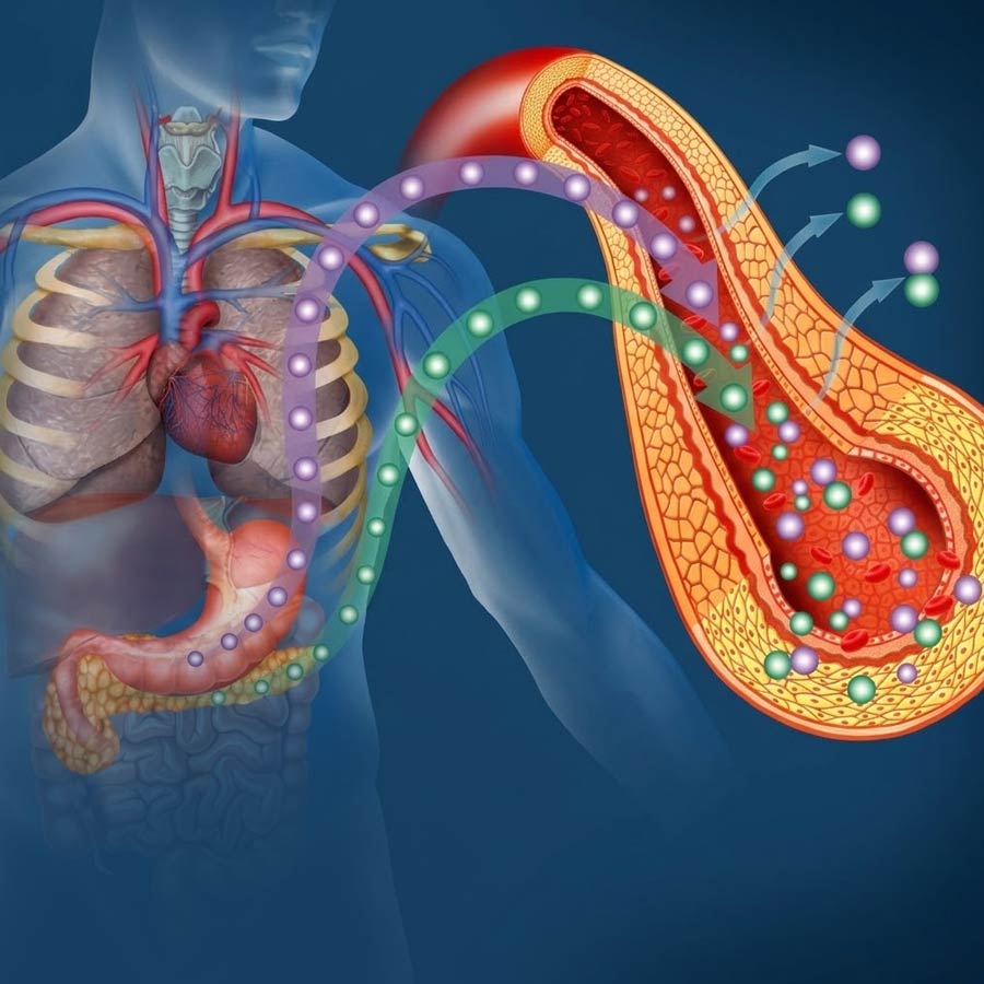 ইনসুলিন রেজ়িস্ট্যান্স  রয়েছে আপনার শরীরেও? কোন বিপদ হতে পারে এতে?