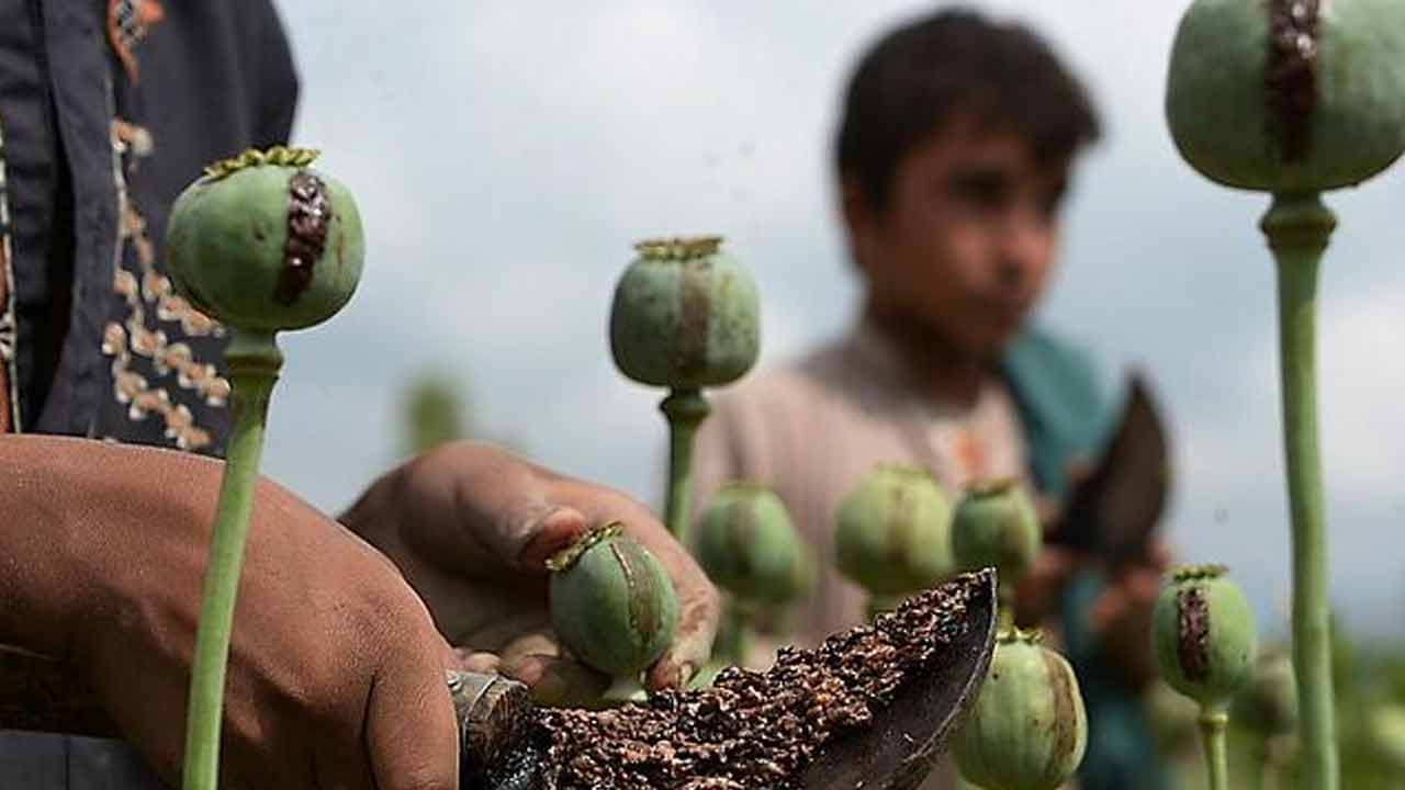 প্রতীকী ছবি।