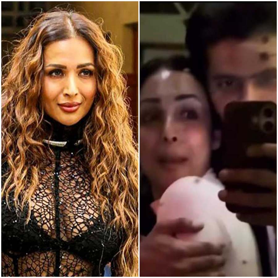 মলাইকার জীবনে ফের নতুন পুরুষ