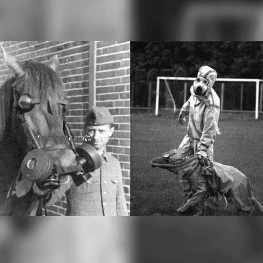 Vozrozhdeniya island becomes toxic desert as Soviet Union trying to develop biological weapon there during cold war 
