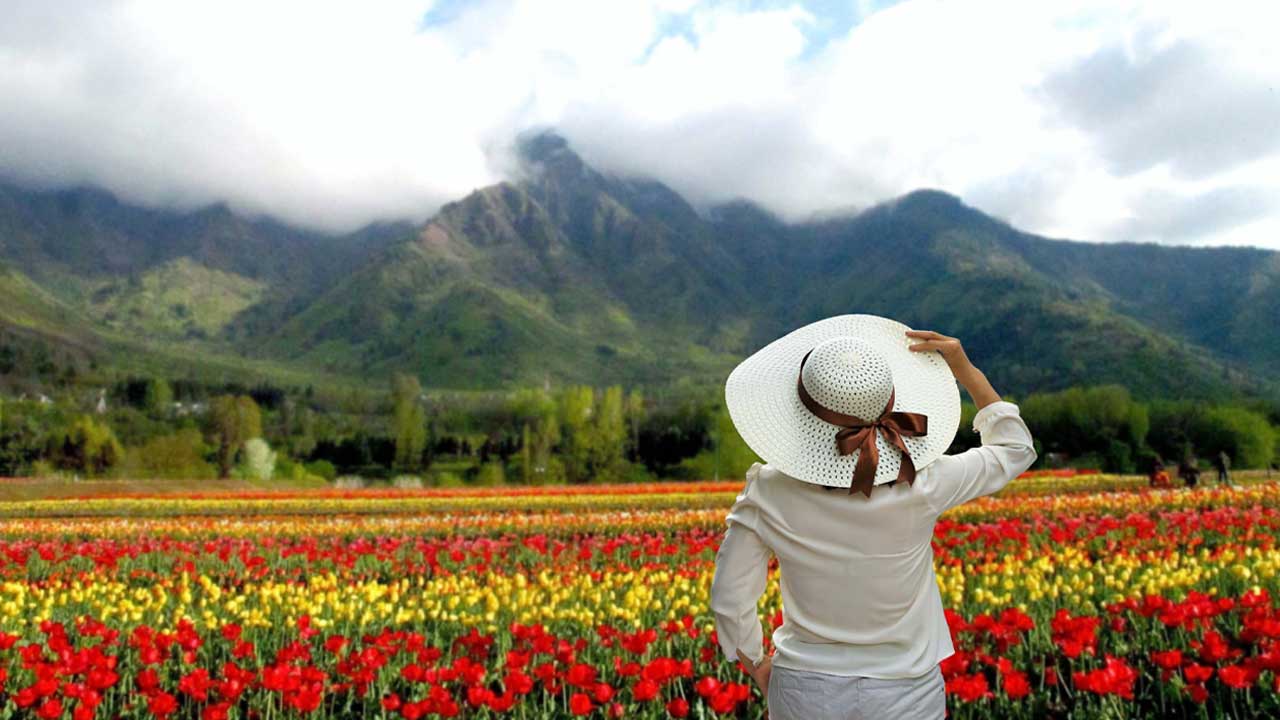 ফুলের সৌন্দর্যই হোক ভ্রমণের প্রেরণা।  চোখ ধাঁধানো ফুলবাগিচা দেখতে কোথায় যাবেন?