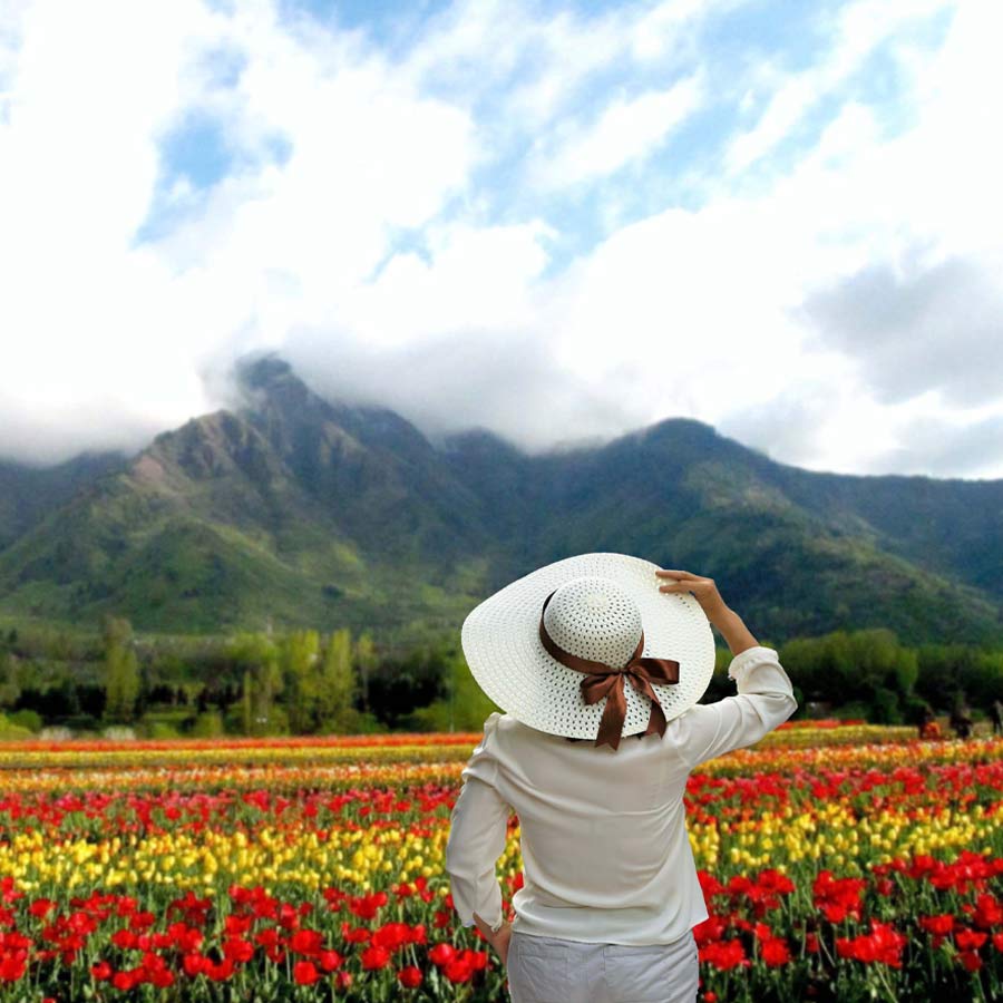 ফুলের সৌন্দর্যই হোক ভ্রমণের প্রেরণা।  চোখ ধাঁধানো ফুলবাগিচা দেখতে কোথায় যাবেন?