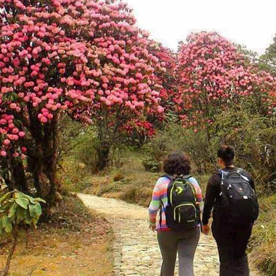 হিলে-ভার্সের  পথে দেখা মিলবে গুরাসের।