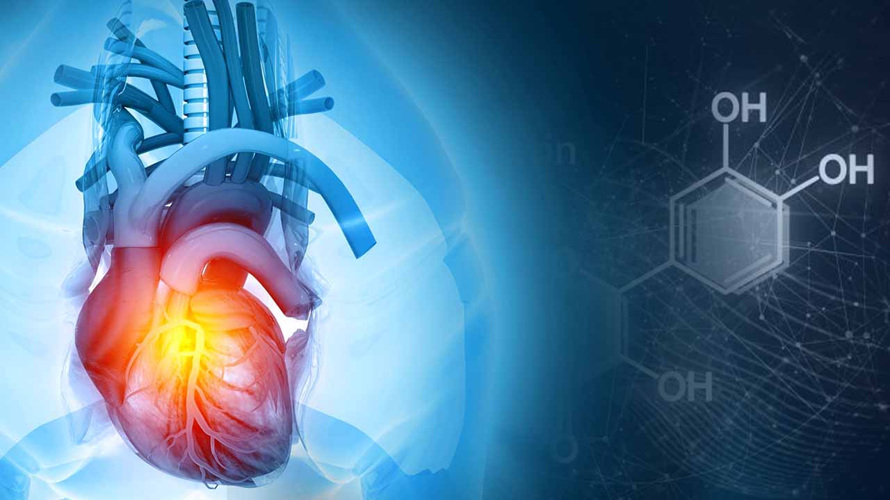 New Study claims polyphenol-rich foods help the heart