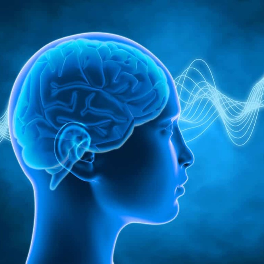 মস্তিষ্কের কর্মক্ষমতা বাড়াবেন কী ভাবে?