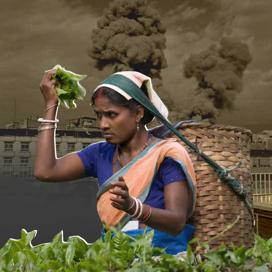 North Bengal Tea Exports Face Uncertainty Amid West Asia Conflict dgtl