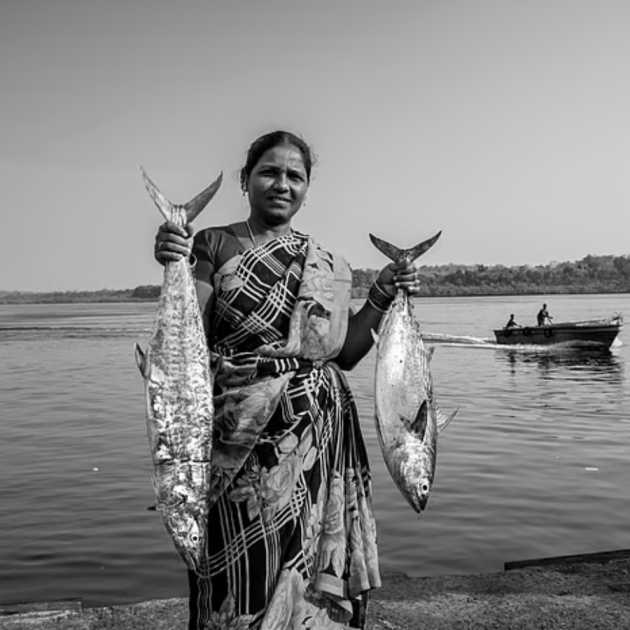 কৌন্তেয় সিংহের তোলা ছবি। 