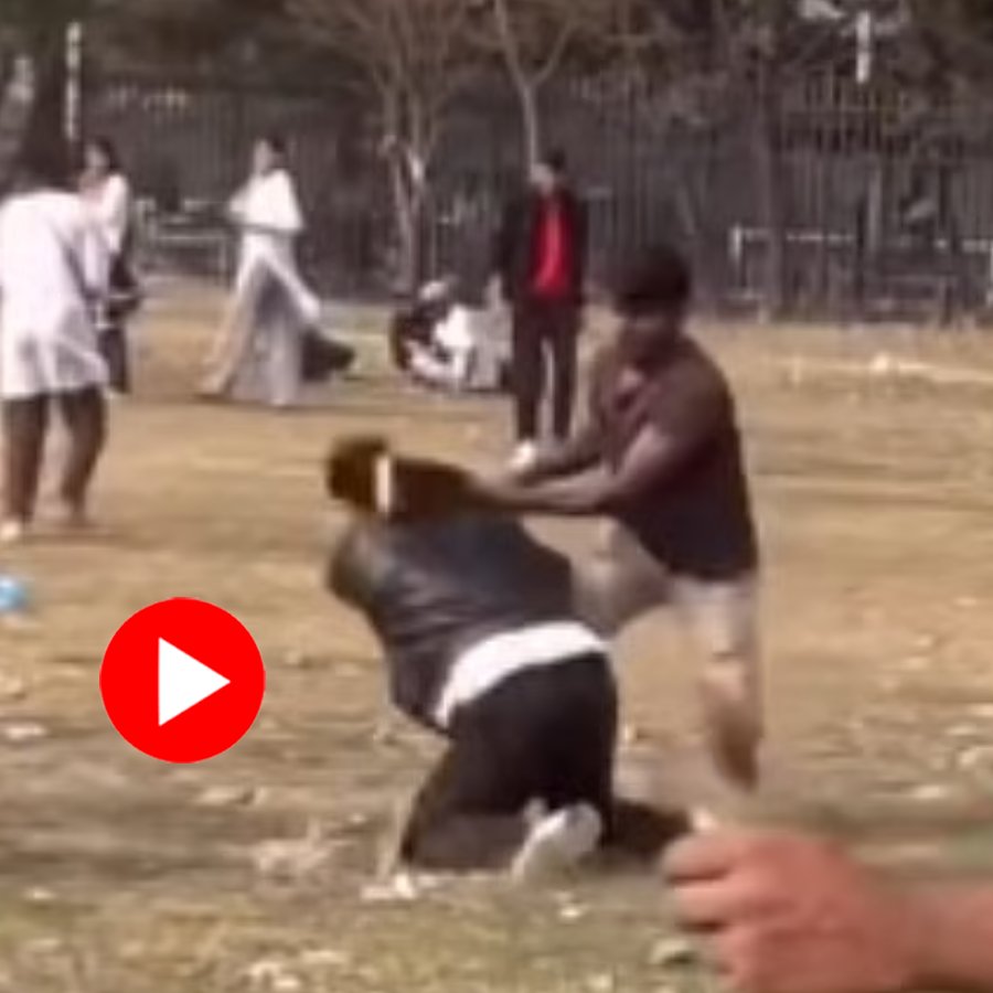 Video of brawl between Nepal youth and his teammates after being denied batting for 3 matches dgtl